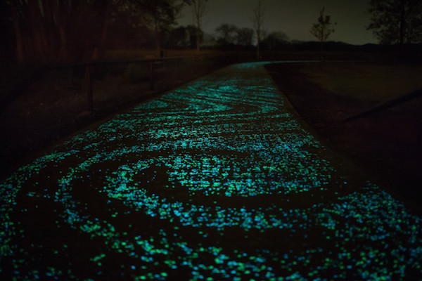 会发光的梵高自行车道让人想起《星夜》图6