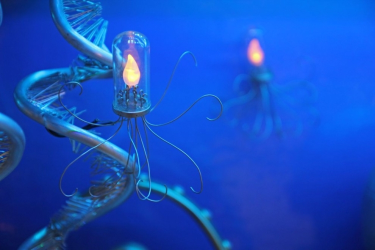 Nemo Gould——最富创客精神的动力雕塑系列作品图26