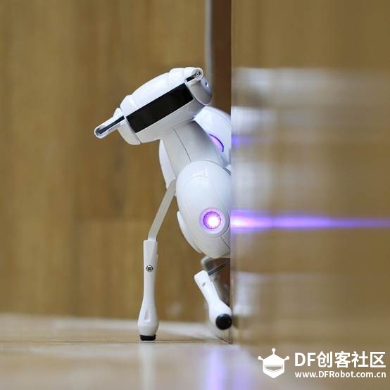 虫虫机器人引爆香港玩具展，机器人玩具成为春节最佳礼品图8