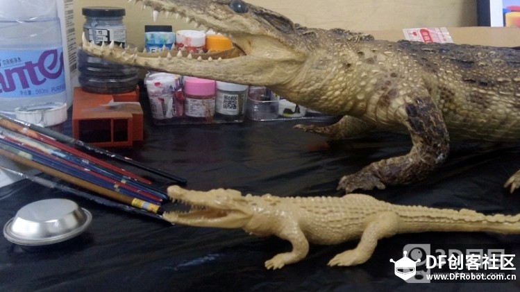 3D鳄鱼的制作流程-3D目目图6