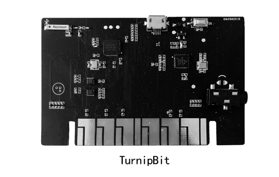 全民编程新时代—TPYBoard重磅产品TurnipBit来了！图1