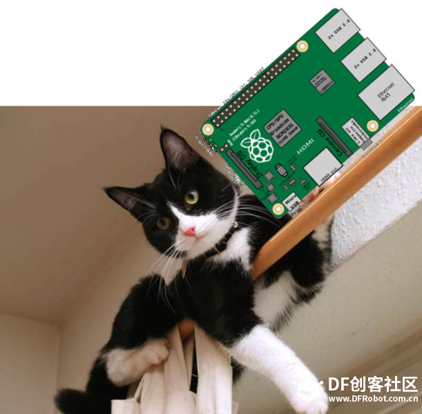 [DS18B20传感器套件level up]别看他们仪表堂堂，背地里连只猫...图1
