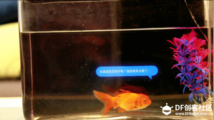 【上交大创客特辑】让鱼儿“说话”的智能鱼缸—NEMO图4