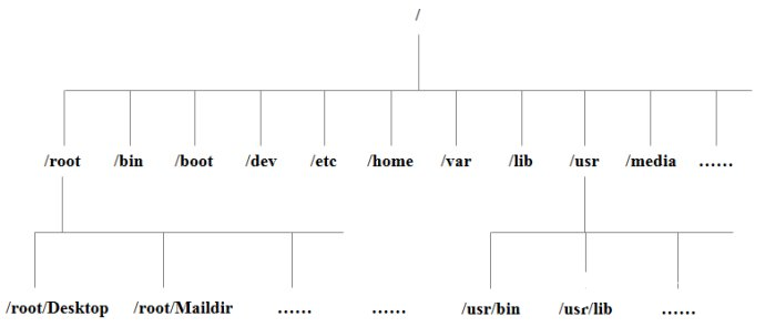 Linux 系统目录结构图2
