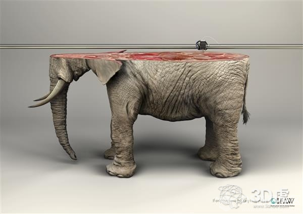 3D打印动物主题：唤醒人们对动物的保护意识图3