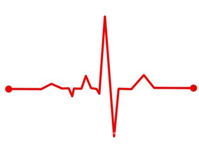 心率监测--科学助跑图11