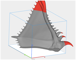 懵懵懂懂的3D之路图5