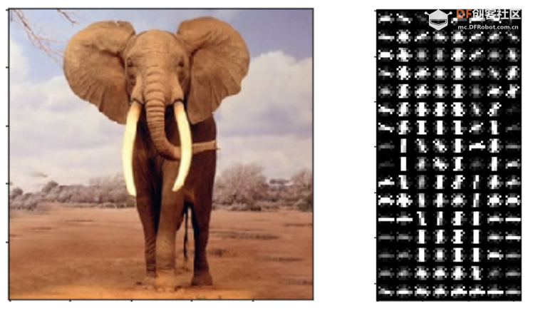 AI实验—基于HOG+SVM的大象检测系统图6