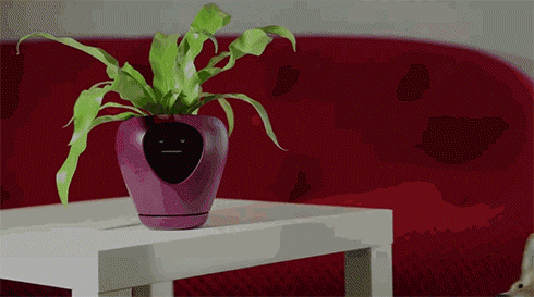 智能花盆把植物变成电子宠物图6