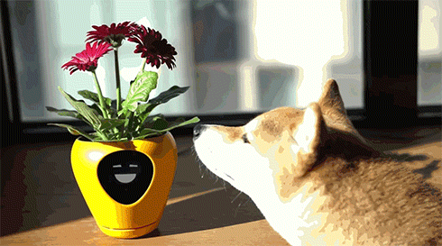 智能花盆把植物变成电子宠物图11