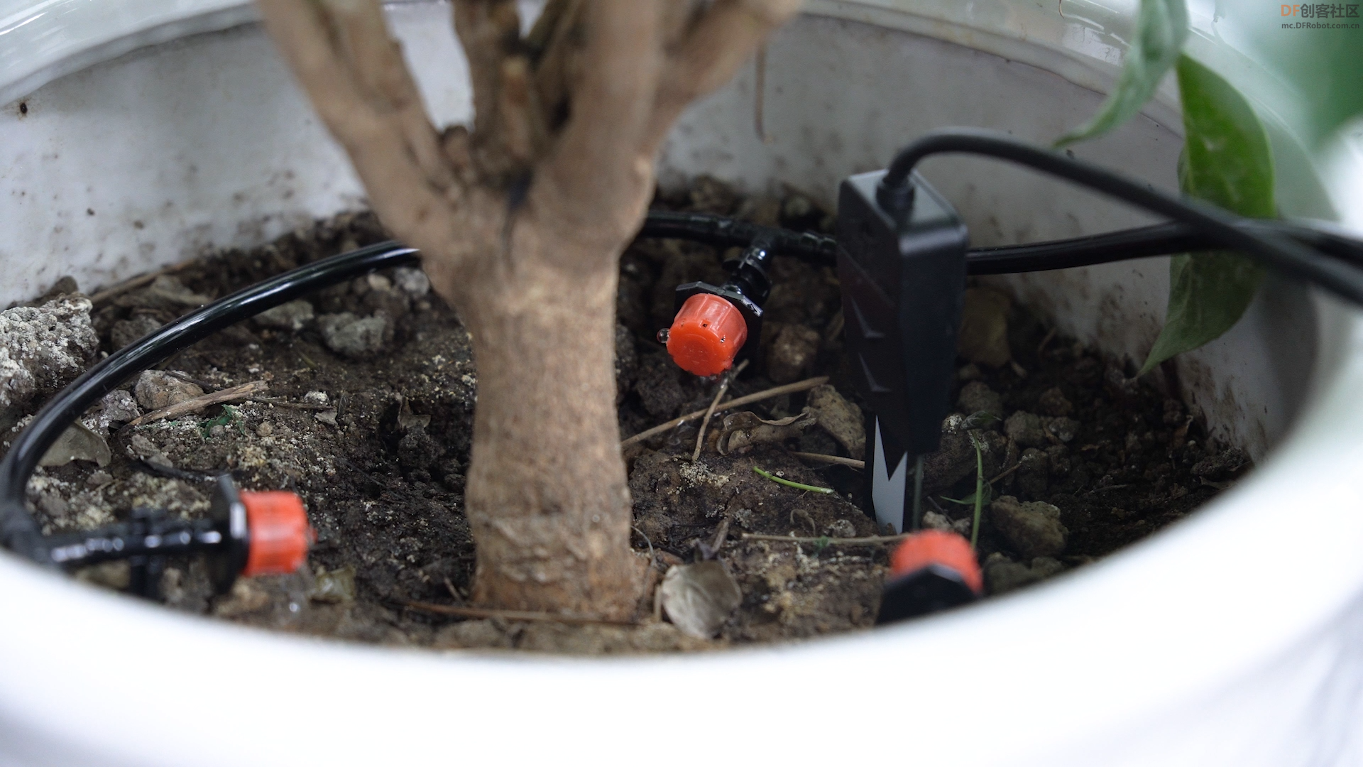 为拯救绿植—DIY一个植物浇水装置图14