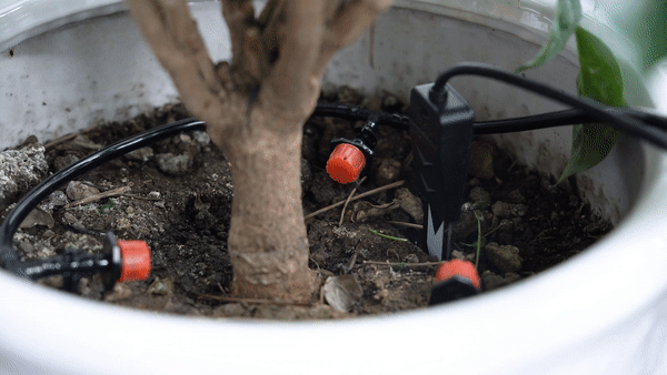 为拯救绿植—DIY一个植物浇水装置图16