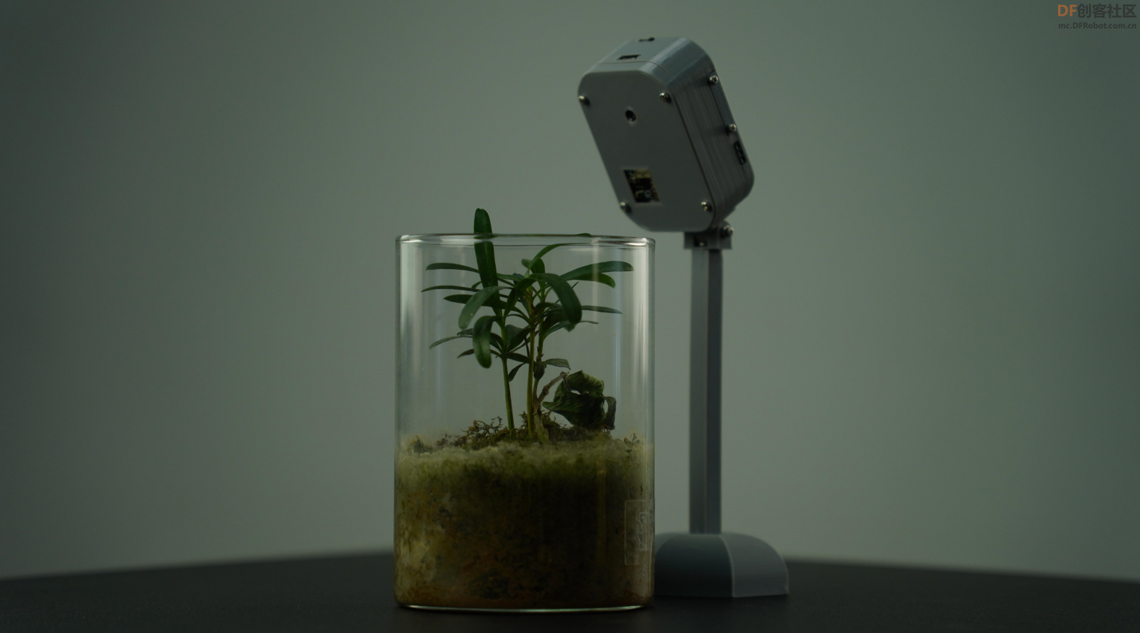 用S3做一个植物生长记录仪图2