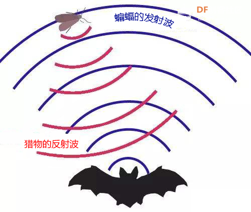 信息科技实验（苏教版）——模拟倒车雷达工作过程图3