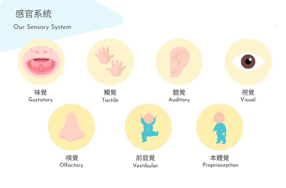 从人体感知数量级看AI语音识别与视觉识别的差异与优势图3