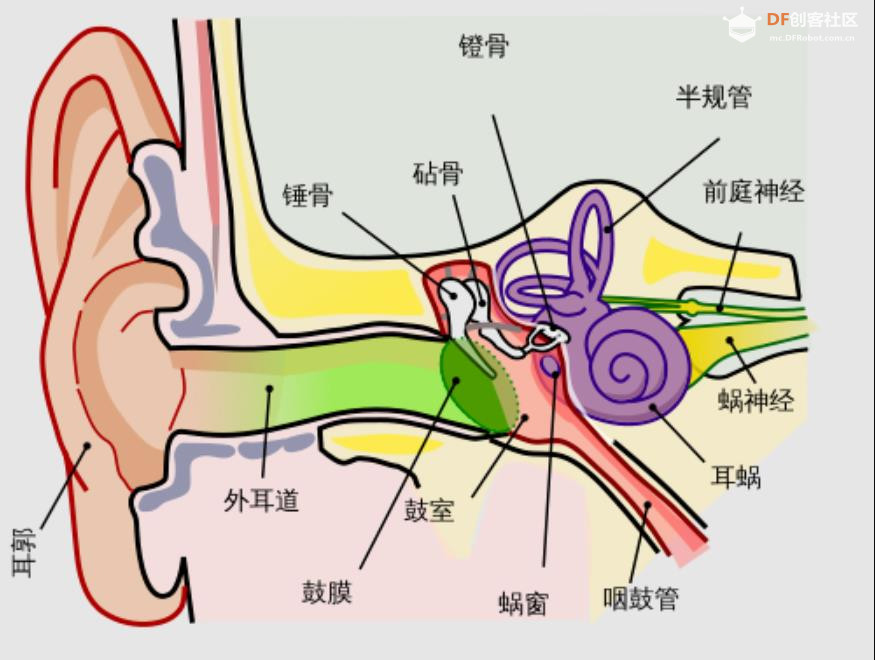 从人体感知数量级看AI语音识别与视觉识别的差异与优势图1