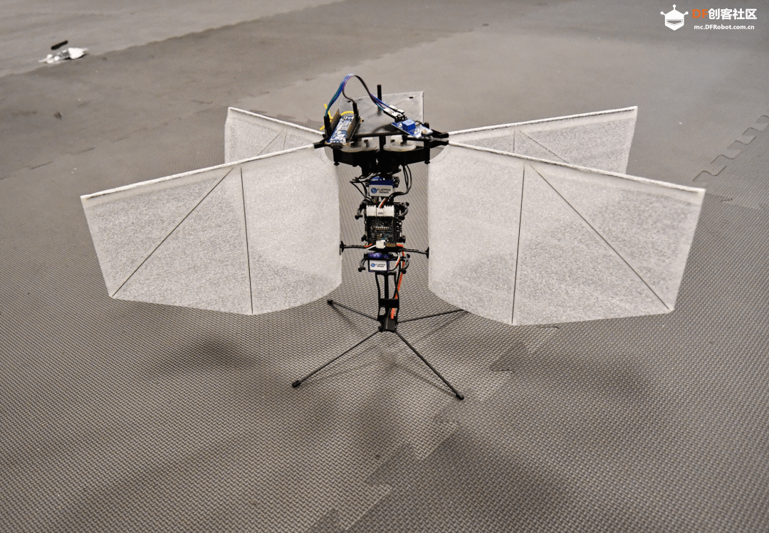 自制低成本 FPV 遥控潜水艇、无需 AI 的“飞蛾”无人机...图6