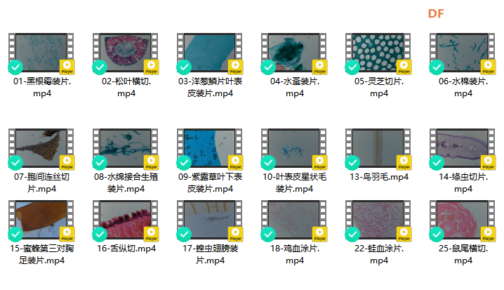 基于“二哈识图2”的传统显微镜AI智能化改造：模型训练图8