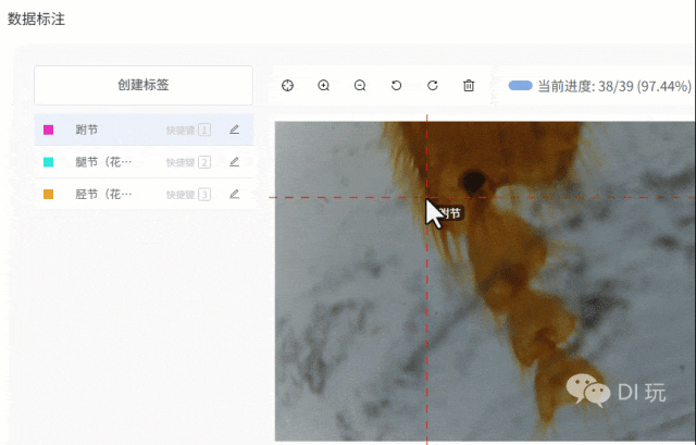 基于“二哈识图2”的传统显微镜AI智能化改造：模型训练图11