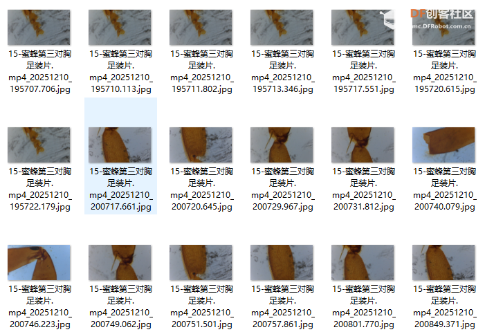 基于“二哈识图2”的传统显微镜AI智能化改造：模型训练图9