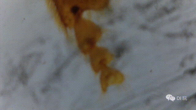 基于“二哈识图2”的传统显微镜AI智能化改造：模型训练图23