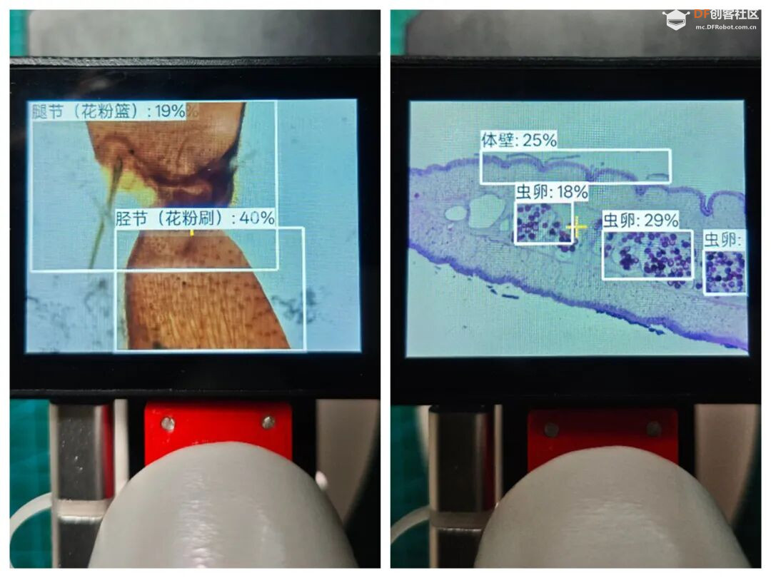 基于“二哈识图2”的传统显微镜AI智能化改造：模型训练图22