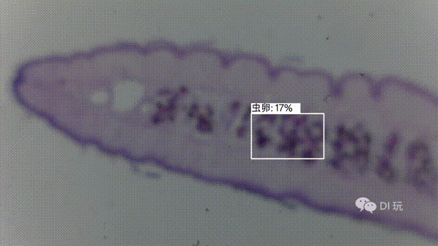 基于“二哈识图2”的传统显微镜AI智能化改造：模型训练图24