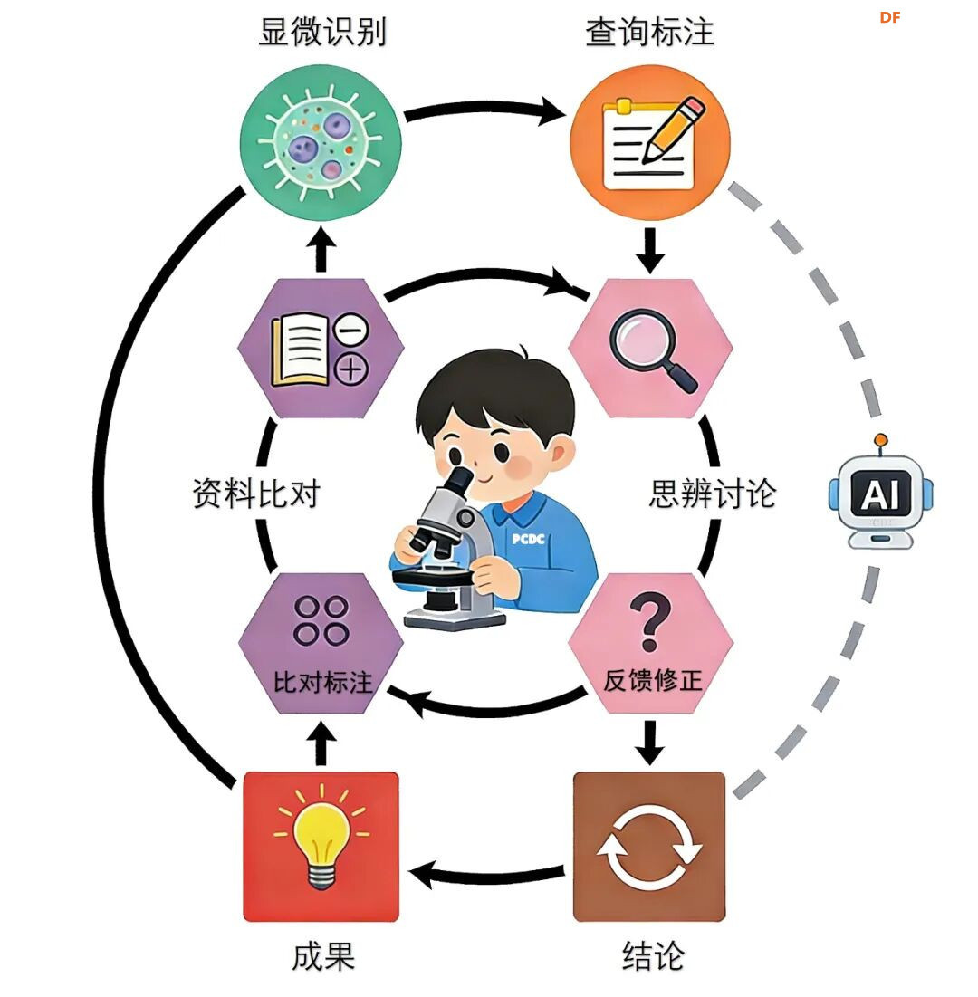 基于“二哈识图2”的传统显微镜AI智能化改造：模型训练图33