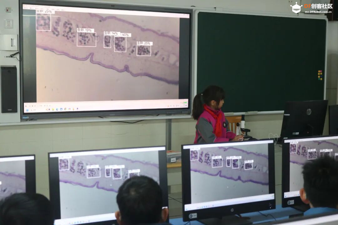 基于“二哈识图2”的传统显微镜AI智能化改造：模型训练图32