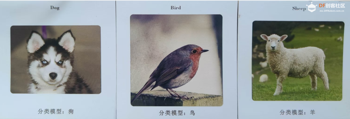 人工智能入门课程：二哈识图2动物分类图1
