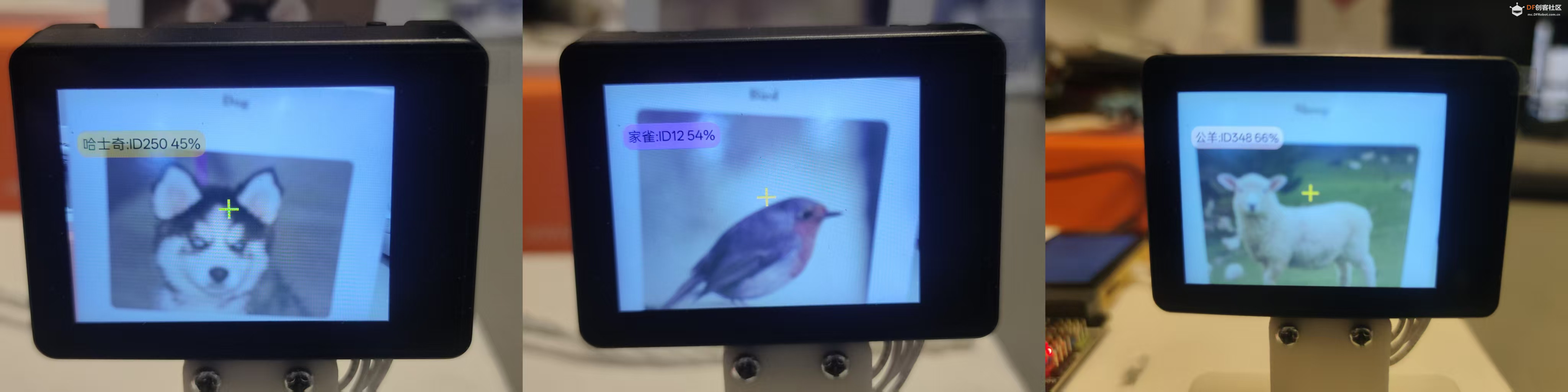 人工智能入门课程：二哈识图2动物分类图4