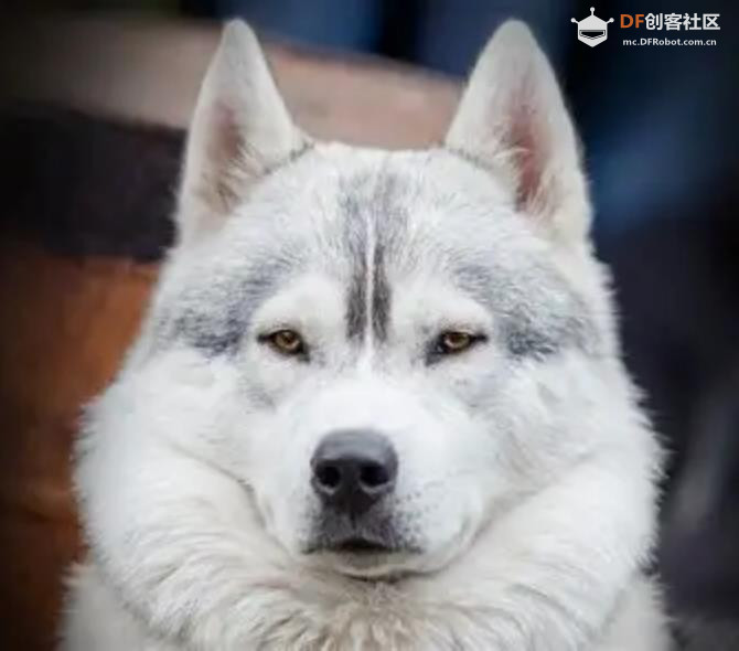 【花雕动手做】K10 实验之将狗脸相关数据显示在屏幕上图2