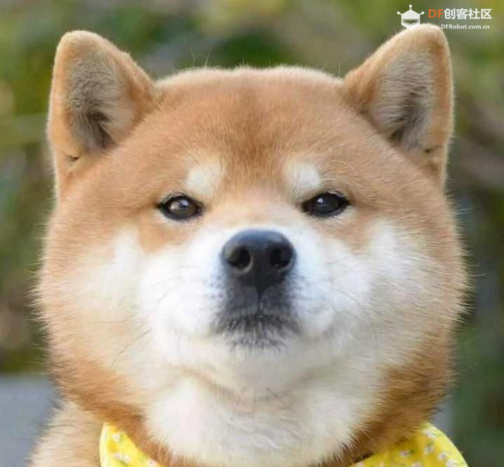 【花雕动手做】K10 实验之将狗脸相关数据显示在屏幕上图3