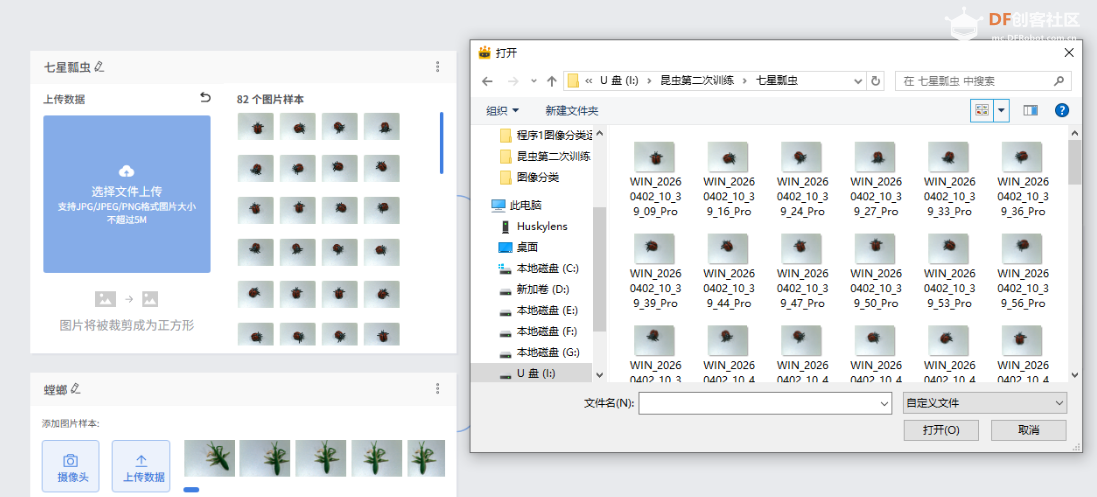 人工智能入门课程：与昆虫对话！二哈识虫开启孩子的...图5