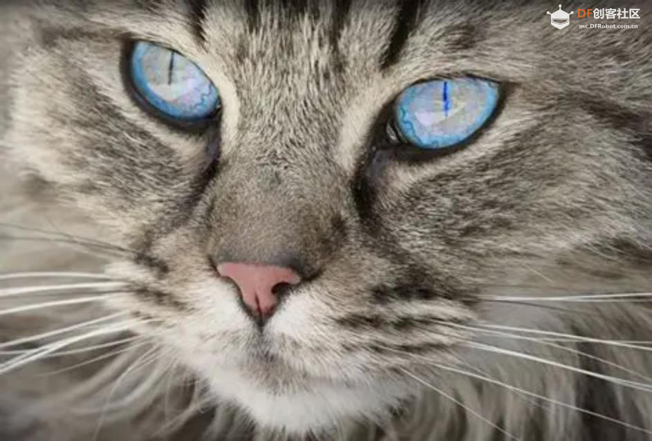 【花雕动手做】K10 实验之将猫脸相关数据显示在屏幕上图3