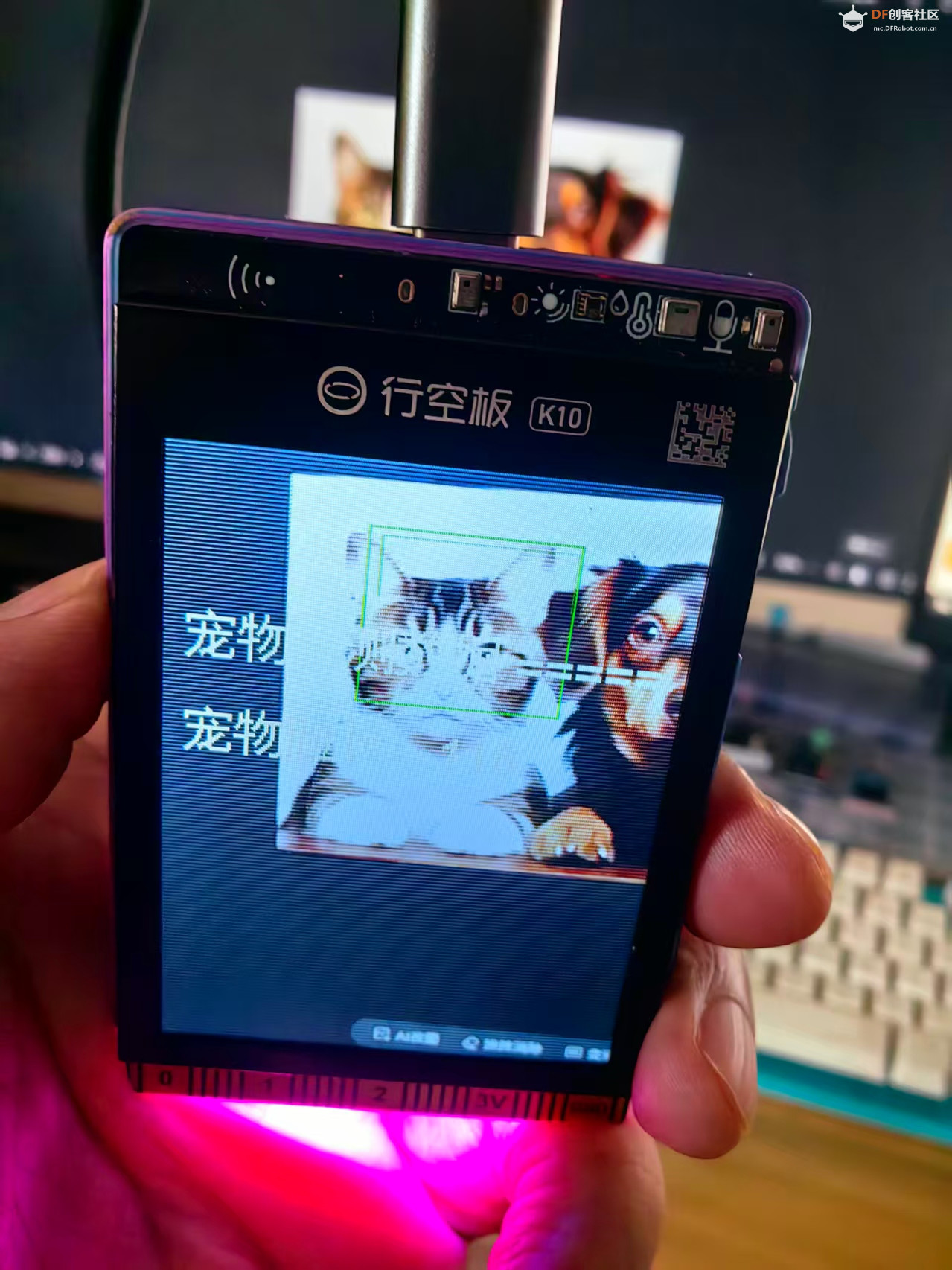 【花雕动手做】K10系列实验之猫狗脸检测动态宠物氛围灯图3