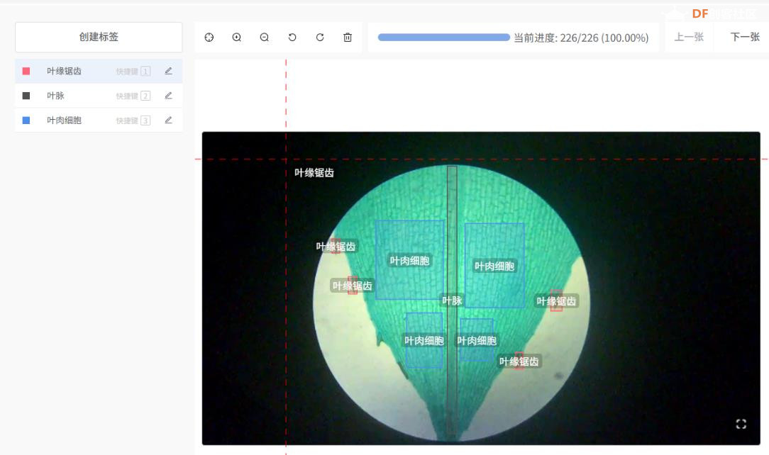 人工智能入门课程：MCP小智揭秘黑藻叶的内部密码图4