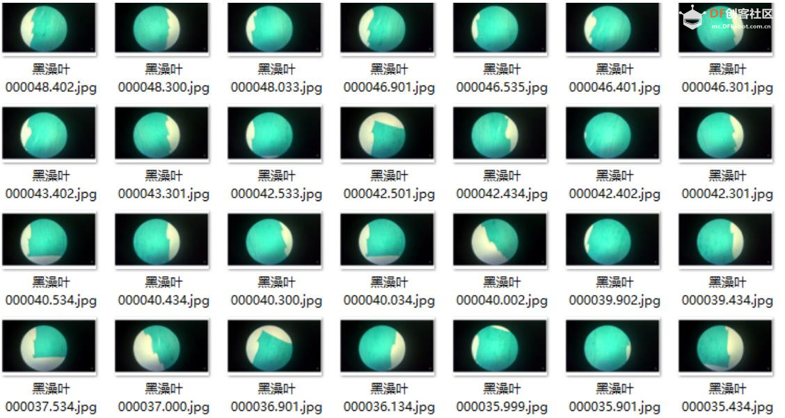 人工智能入门课程：MCP小智揭秘黑藻叶的内部密码图8