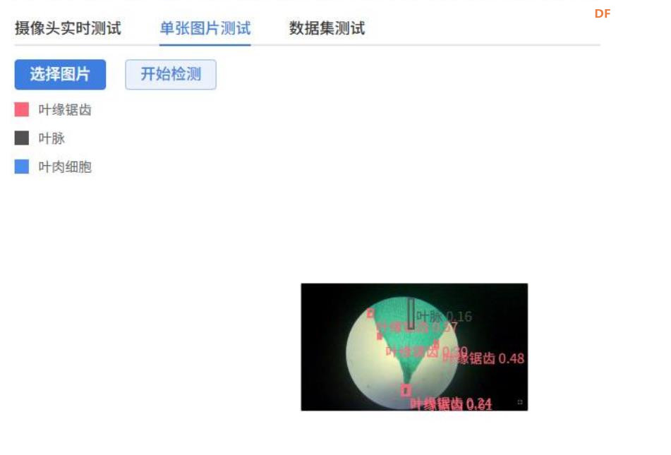 人工智能入门课程：二哈识图小智揭秘黑藻叶的内部密码图9