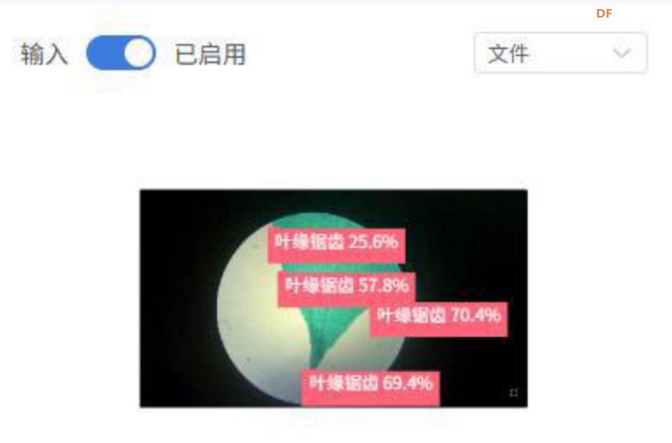 人工智能入门课程：二哈识图小智揭秘黑藻叶的内部密码图10