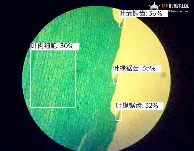 人工智能入门课程：二哈识图小智揭秘黑藻叶的内部密码图13