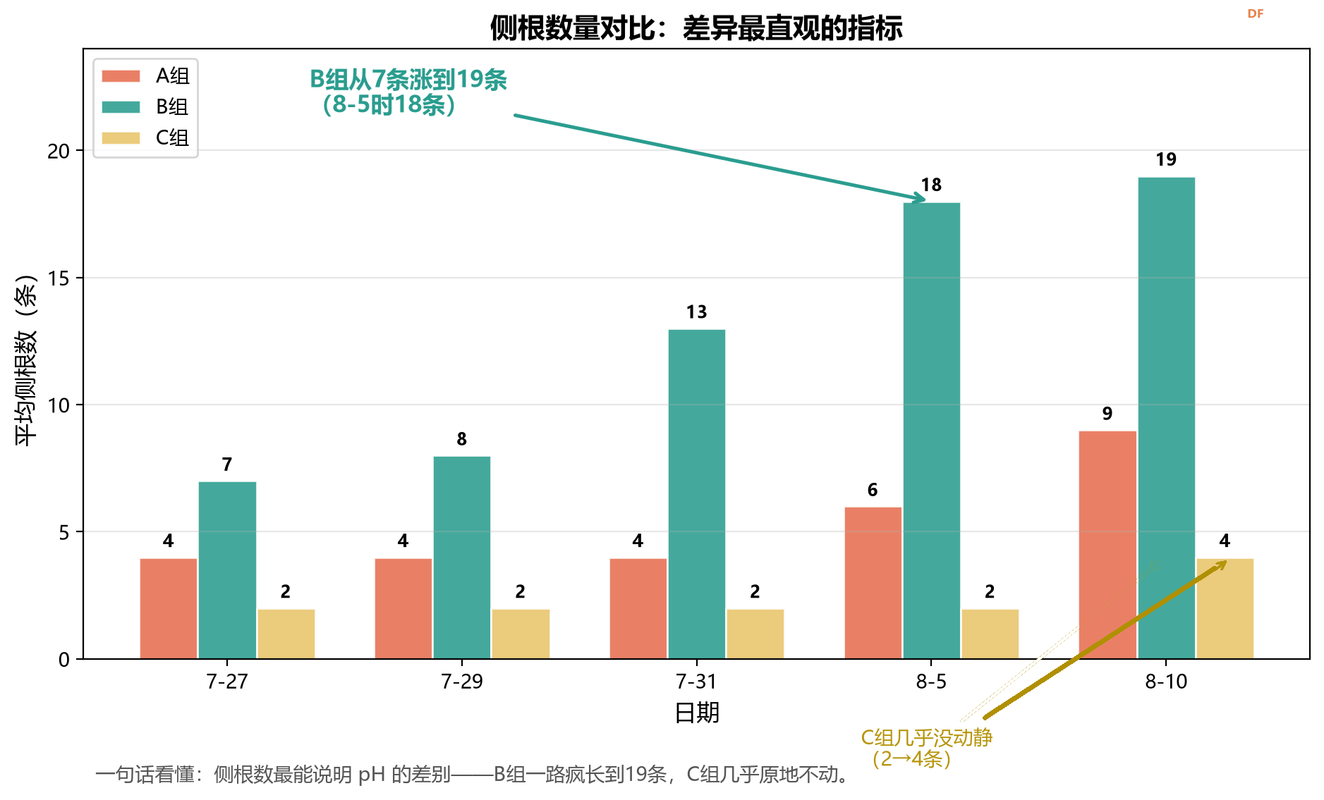 "做中学"领航行动（上）：植物生长观察 — 一棵枇杷...图7