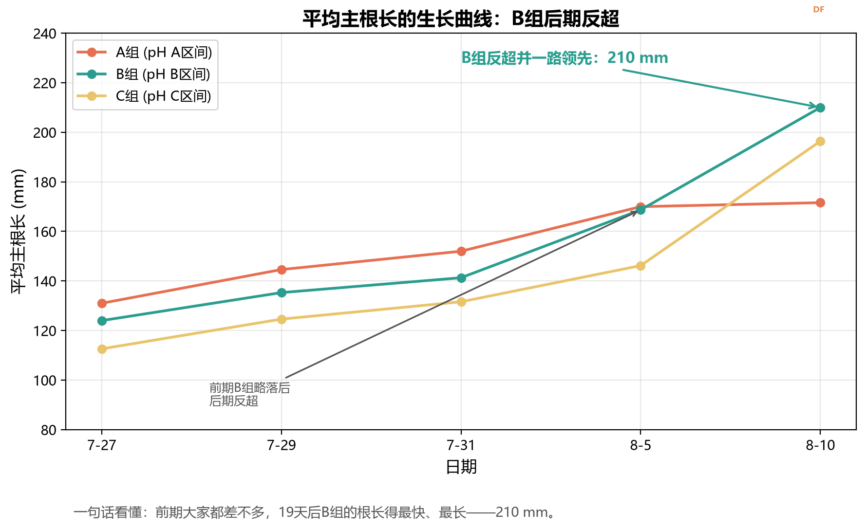 "做中学"领航行动（上）：植物生长观察 — 一棵枇杷...图8