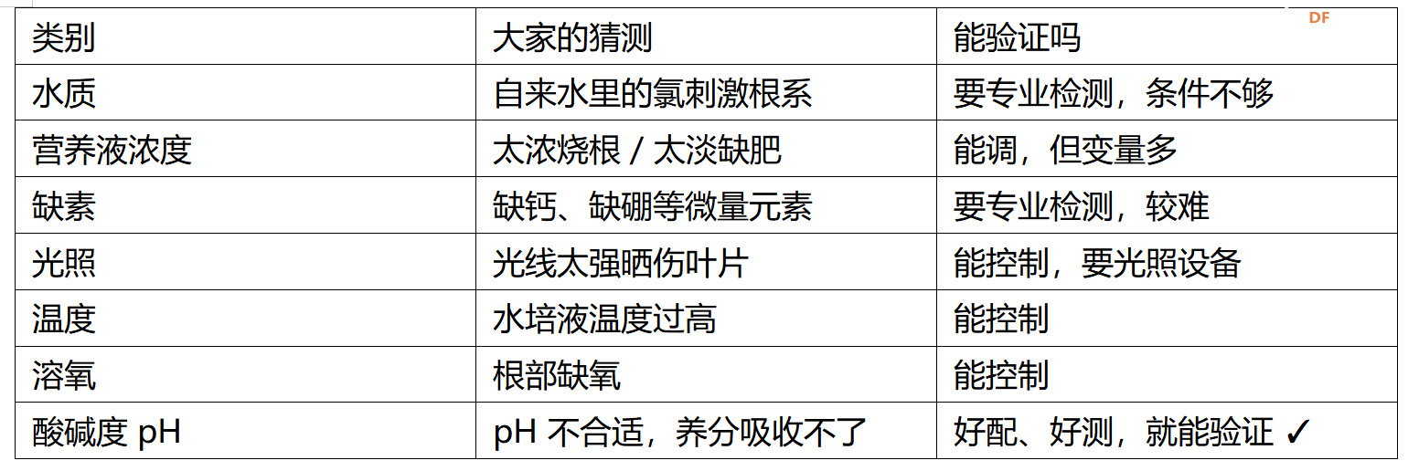 "做中学"领航行动（上）：植物生长观察 — 一棵枇杷...图11
