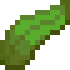 kelp-item.png