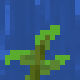 kelp-top.png