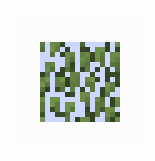 Leaves Birch 3.png