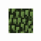 Leaves Birch.png