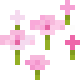 petals2.png