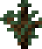 sapling spruce.png